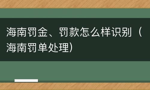 海南罚金、罚款怎么样识别（海南罚单处理）