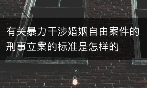 有关暴力干涉婚姻自由案件的刑事立案的标准是怎样的