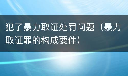 犯了暴力取证处罚问题（暴力取证罪的构成要件）
