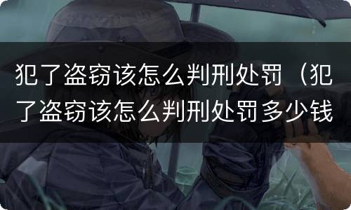 犯了盗窃该怎么判刑处罚（犯了盗窃该怎么判刑处罚多少钱）
