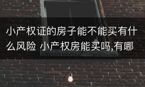 小产权证的房子能不能买有什么风险 小产权房能买吗,有哪些风险?