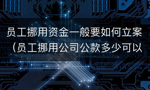 员工挪用资金一般要如何立案（员工挪用公司公款多少可以立案）