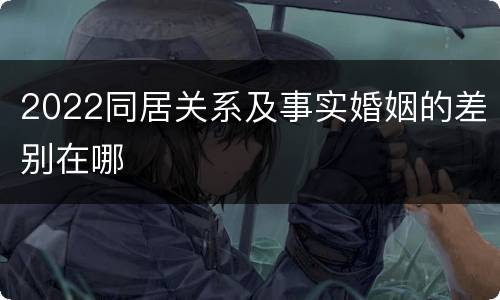 2022同居关系及事实婚姻的差别在哪