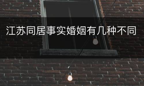 江苏同居事实婚姻有几种不同