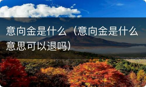 意向金是什么（意向金是什么意思可以退吗）