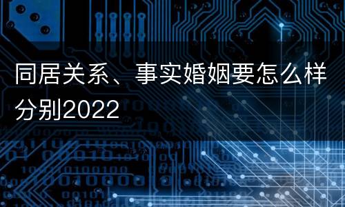 同居关系、事实婚姻要怎么样分别2022