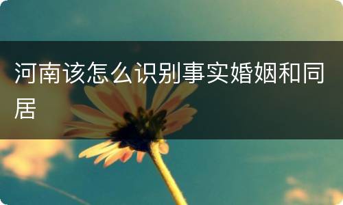 河南该怎么识别事实婚姻和同居