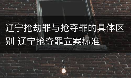 辽宁抢劫罪与抢夺罪的具体区别 辽宁抢夺罪立案标准