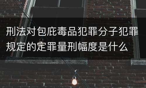 刑法对包庇毒品犯罪分子犯罪规定的定罪量刑幅度是什么