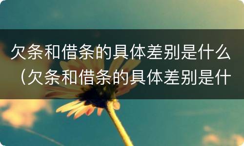 欠条和借条的具体差别是什么（欠条和借条的具体差别是什么意思）