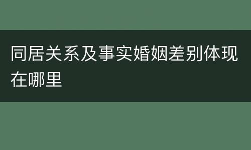 同居关系及事实婚姻差别体现在哪里