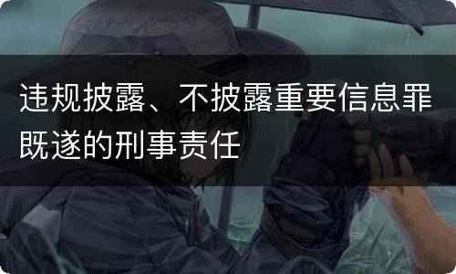 违规披露、不披露重要信息罪既遂的刑事责任