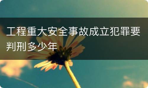 工程重大安全事故成立犯罪要判刑多少年
