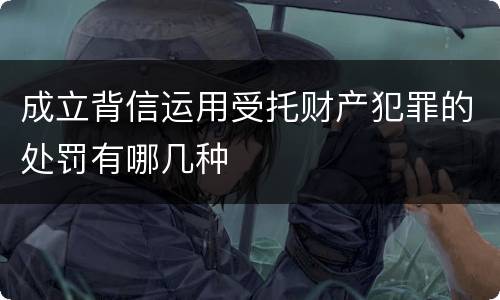 成立背信运用受托财产犯罪的处罚有哪几种