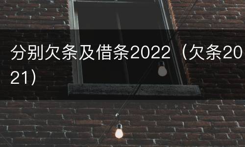 分别欠条及借条2022（欠条2021）