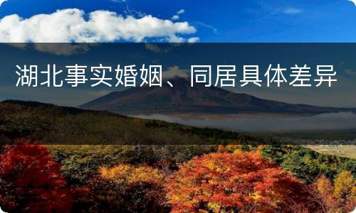 湖北事实婚姻、同居具体差异
