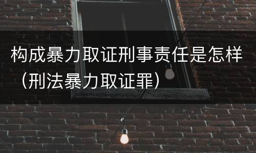 构成暴力取证刑事责任是怎样（刑法暴力取证罪）