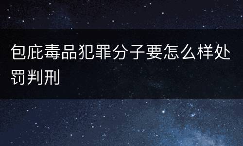 包庇毒品犯罪分子要怎么样处罚判刑