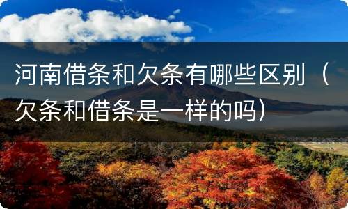 河南借条和欠条有哪些区别（欠条和借条是一样的吗）