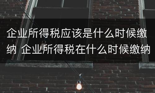 企业所得税应该是什么时候缴纳 企业所得税在什么时候缴纳