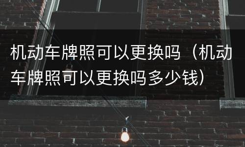 机动车牌照可以更换吗（机动车牌照可以更换吗多少钱）