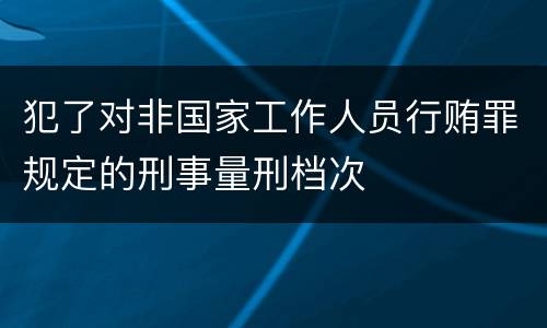犯了对非国家工作人员行贿罪规定的刑事量刑档次