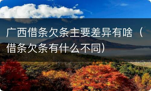 广西借条欠条主要差异有啥（借条欠条有什么不同）