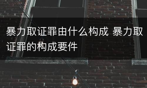 暴力取证罪由什么构成 暴力取证罪的构成要件