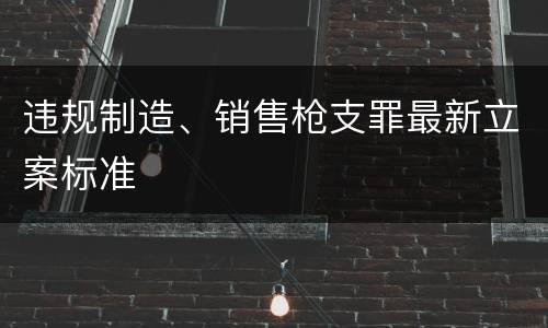 违规制造、销售枪支罪最新立案标准