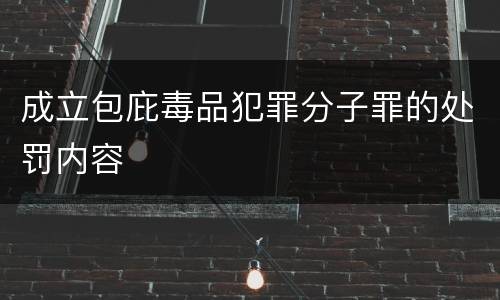 成立包庇毒品犯罪分子罪的处罚内容