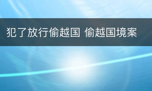 犯了放行偷越国 偷越国境案