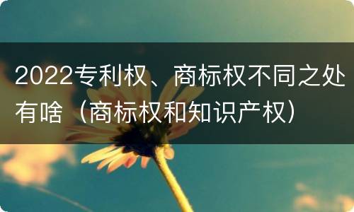 2022专利权、商标权不同之处有啥（商标权和知识产权）