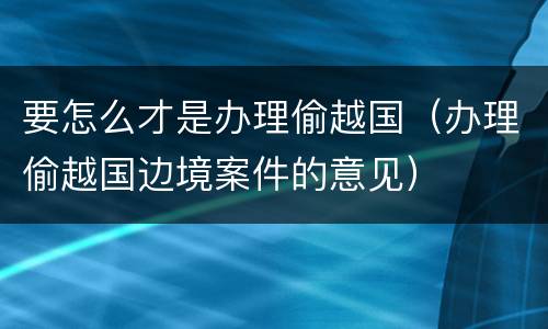 要怎么才是办理偷越国（办理偷越国边境案件的意见）