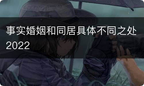 事实婚姻和同居具体不同之处2022