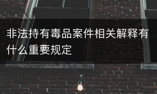 非法持有毒品案件相关解释有什么重要规定