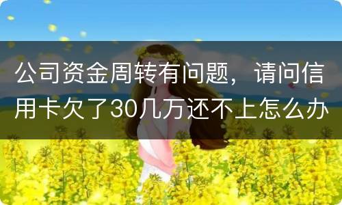 公司资金周转有问题，请问信用卡欠了30几万还不上怎么办