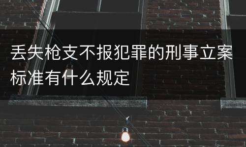 丢失枪支不报犯罪的刑事立案标准有什么规定
