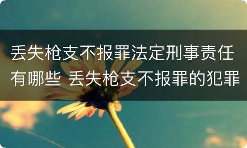 丢失枪支不报罪法定刑事责任有哪些 丢失枪支不报罪的犯罪主体只能是什么