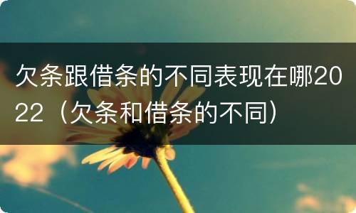 欠条跟借条的不同表现在哪2022（欠条和借条的不同）