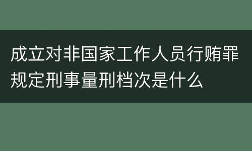 成立对非国家工作人员行贿罪规定刑事量刑档次是什么