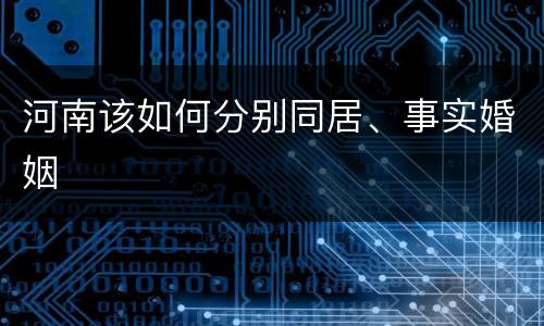 河南该如何分别同居、事实婚姻