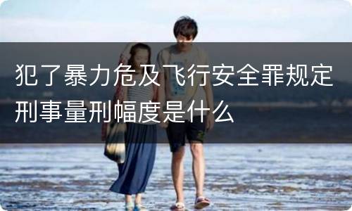 犯了暴力危及飞行安全罪规定刑事量刑幅度是什么