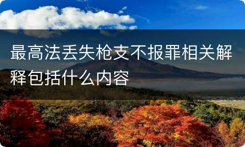 最高法丢失枪支不报罪相关解释包括什么内容
