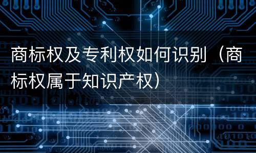商标权及专利权如何识别（商标权属于知识产权）