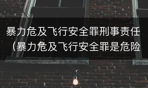 暴力危及飞行安全罪刑事责任（暴力危及飞行安全罪是危险犯吗）