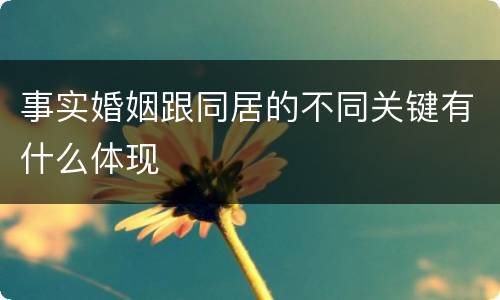 事实婚姻跟同居的不同关键有什么体现