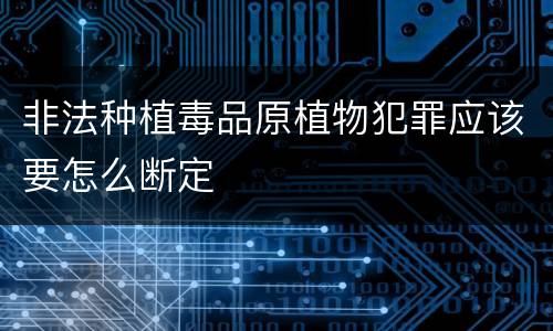 非法种植毒品原植物犯罪应该要怎么断定