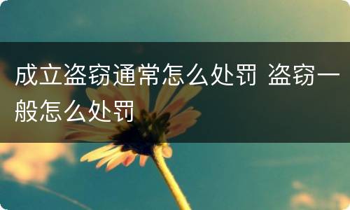 成立盗窃通常怎么处罚 盗窃一般怎么处罚