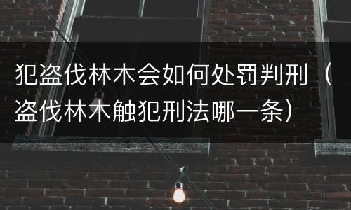 犯盗伐林木会如何处罚判刑（盗伐林木触犯刑法哪一条）