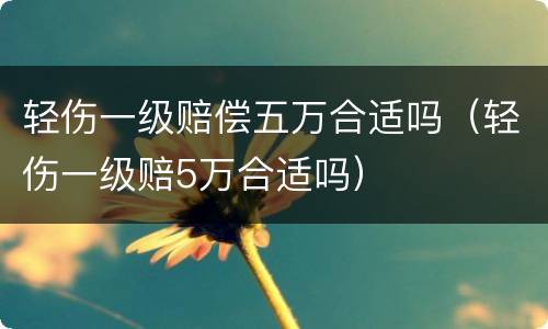 轻伤一级赔偿五万合适吗（轻伤一级赔5万合适吗）